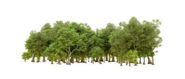 Beyaz arka planda yeşil ağaçlar. 3D görüntüleme. Doğa                           