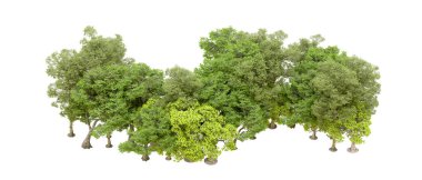 Beyaz arka planda yeşil ağaçlar. 3D görüntüleme. Doğa                           