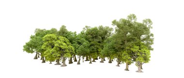 Beyaz arka planda yeşil ağaçlar. 3D görüntüleme. Doğa                           