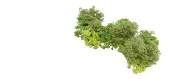 Beyaz arka planda yeşil ağaçlar. 3D görüntüleme. Doğa                           