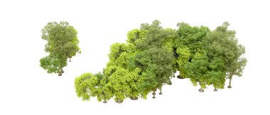 Beyaz arka planda yeşil ağaçlar. 3D görüntüleme. Doğa                           
