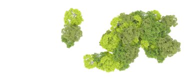 Beyaz arka planda yeşil ağaçlar. 3D görüntüleme. Doğa                           