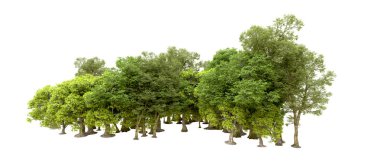 Beyaz arka planda yeşil ağaçlar. 3D görüntüleme. Doğa                           