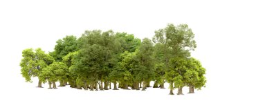 Beyaz arka planda yeşil ağaçlar. 3D görüntüleme. Doğa                           