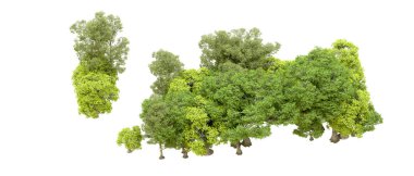 Beyaz arka planda yeşil ağaçlar. 3D görüntüleme. Doğa                           