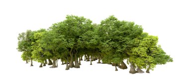 Beyaz arka planda yeşil ağaçlar. 3D görüntüleme. Doğa                           