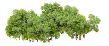 Beyaz arka planda yeşil ağaçlar. 3D görüntüleme. Doğa                           