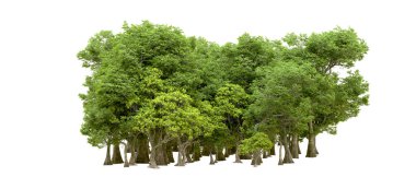 Beyaz arka planda yeşil ağaçlar. 3D görüntüleme. Doğa                           