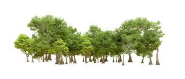 Beyaz arka planda yeşil ağaçlar. 3D görüntüleme. Doğa                           