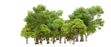 Beyaz arka planda yeşil ağaçlar. 3D görüntüleme. Doğa                           