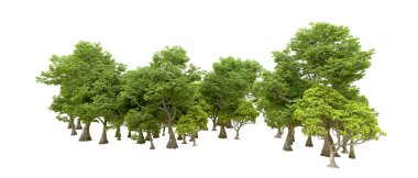 Beyaz arka planda yeşil ağaçlar. 3D görüntüleme. Doğa                           
