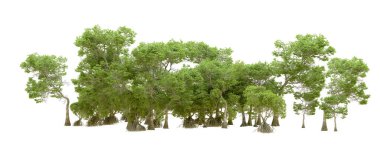 Beyaz arka planda yeşil ağaçlar. 3D görüntüleme. Doğa                           