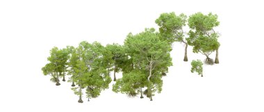 Beyaz arka planda yeşil ağaçlar. 3D görüntüleme. Doğa                           