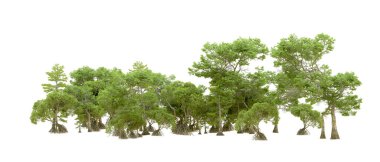 Beyaz arka planda yeşil ağaçlar. 3D görüntüleme. Doğa                           