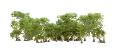 Beyaz arka planda yeşil ağaçlar. 3D görüntüleme. Doğa                           