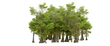 Beyaz arka planda yeşil ağaçlar. 3D görüntüleme. Doğa                           