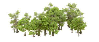 Beyaz arka planda yeşil ağaçlar. 3D görüntüleme. Doğa                           