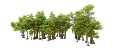 Beyaz arka planda yeşil ağaçlar. 3D görüntüleme. Doğa                           