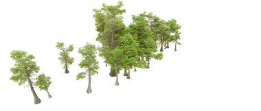 Beyaz arka planda yeşil ağaçlar. 3D görüntüleme. Doğa                           