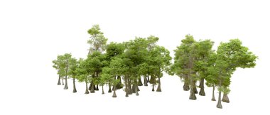 Beyaz arka planda yeşil ağaçlar. 3D görüntüleme. Doğa                           