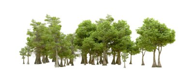 Beyaz arka planda yeşil ağaçlar. 3D görüntüleme. Doğa                           