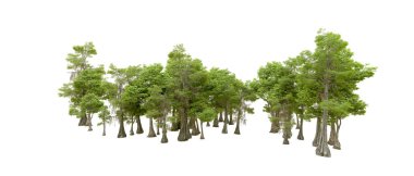 Beyaz arka planda yeşil ağaçlar. 3D görüntüleme. Doğa