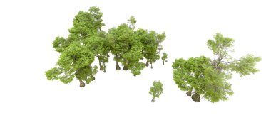 Beyaz arka planda yeşil ağaçlar. 3D görüntüleme. Doğa