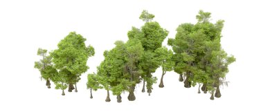 Beyaz arka planda yeşil ağaçlar. 3D görüntüleme. Doğa