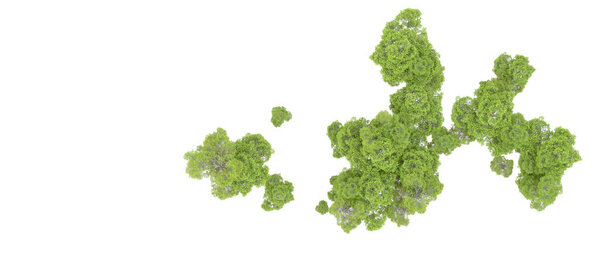 Green trees on white background. 3d rendering. Nature