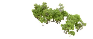 Beyaz arka planda yeşil ağaçlar. 3D görüntüleme. Doğa