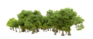 Beyaz arka planda yeşil ağaçlar. 3D görüntüleme. Doğa