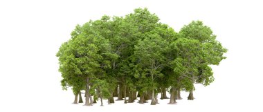 Beyaz arka planda yeşil ağaçlar. 3D görüntüleme. Doğa