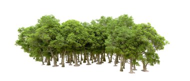 Beyaz arka planda yeşil ağaçlar. 3D görüntüleme. Doğa