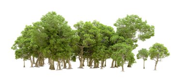 Beyaz arka planda yeşil ağaçlar. 3D görüntüleme. Doğa