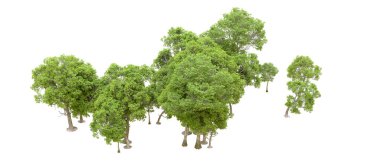 Beyaz arka planda yeşil ağaçlar. 3D görüntüleme. Doğa