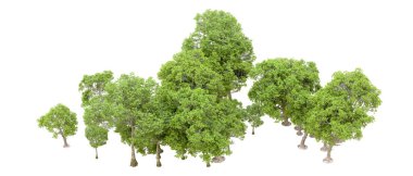 Beyaz arka planda yeşil ağaçlar. 3D görüntüleme. Doğa