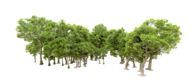 Beyaz arka planda yeşil ağaçlar. 3D görüntüleme. Doğa