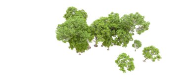 Beyaz arka planda yeşil ağaçlar. 3D görüntüleme. Doğa
