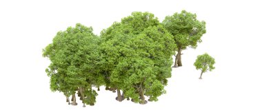 Beyaz arka planda yeşil ağaçlar. 3D görüntüleme. Doğa