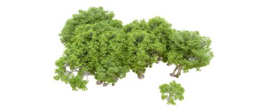 Beyaz arka planda yeşil ağaçlar. 3D görüntüleme. Doğa