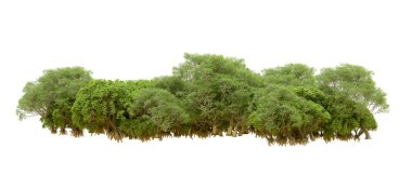 Beyaz arka planda yeşil ağaçlar. 3D görüntüleme. Doğa