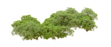 Beyaz arka planda yeşil ağaçlar. 3D görüntüleme. Doğa