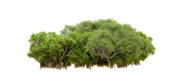 Beyaz arka planda yeşil ağaçlar. 3D görüntüleme. Doğa