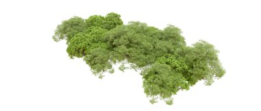 Beyaz arka planda yeşil ağaçlar. 3D görüntüleme. Doğa