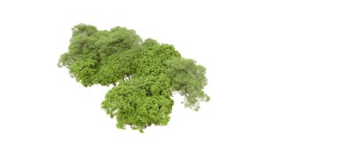 Beyaz arka planda yeşil ağaçlar. 3D görüntüleme. Doğa