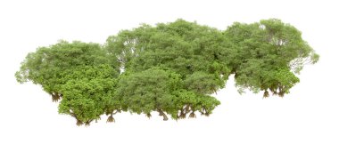 Beyaz arka planda yeşil ağaçlar. 3D görüntüleme. Doğa