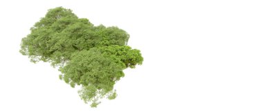 Beyaz arka planda yeşil ağaçlar. 3D görüntüleme. Doğa