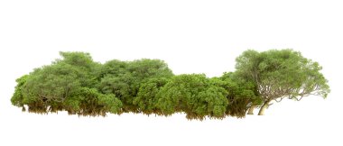 Beyaz arka planda yeşil ağaçlar. 3D görüntüleme. Doğa