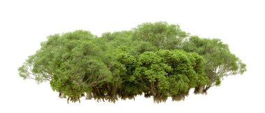 Beyaz arka planda yeşil ağaçlar. 3D görüntüleme. Doğa