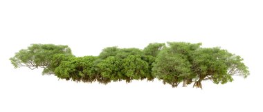 Beyaz arka planda yeşil ağaçlar. 3D görüntüleme. Doğa